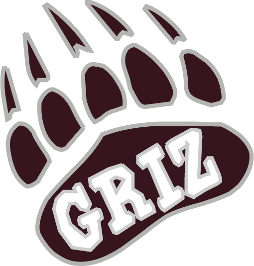Montana Grizzlies 1996-Pres Alternate Logo v9 diy iron on heat transfer